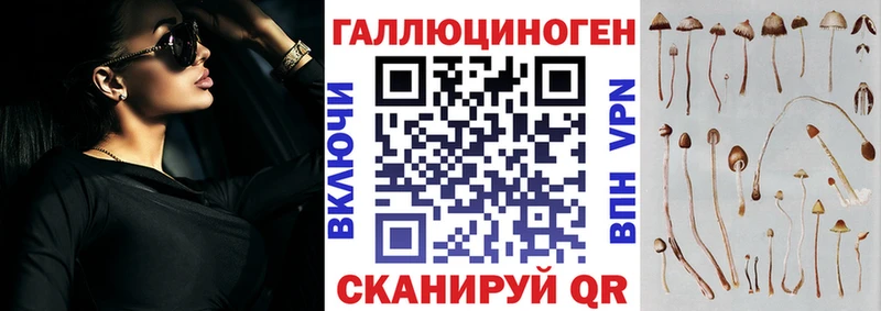 Галлюциногенные грибы Magic Shrooms Гуково