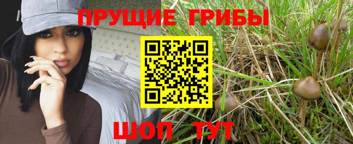 Псилоцибиновые грибы мицелий  Вход с VPN  Гуково 